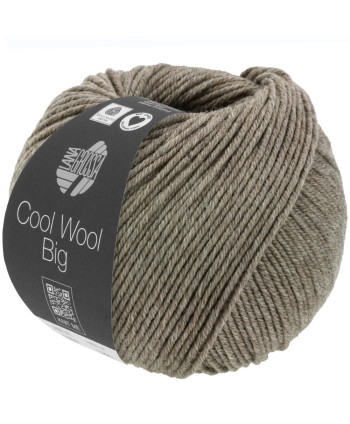 064 1621 Bruin, Cool Wool BIG Melange, Lana Grossa